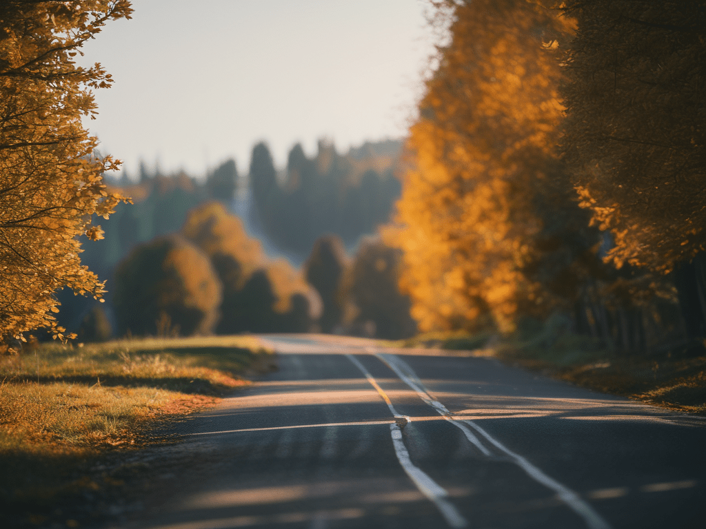 Landscape photo with great visibility- 22 November&nbsp;2022